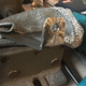 Image for article titled How to Fix the Tiny Things That Break On Your JDM Car